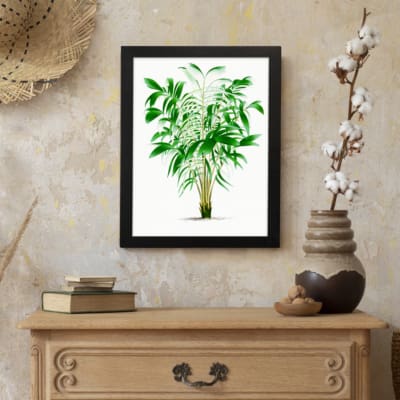 Vintage wall art of a green leafy plant with narrow leaves in varying shades of green, framed in black for a modern touch. displayed on the wall