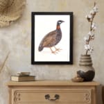 Vintage wall art of a speckled bird with brown, black, and white feathers, framed in black, ideal for nature-themed spaces. displayed on the wall