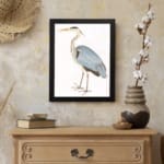 Vintage heron bird illustration with soft blue, black, and white feathers. Framed in black, offering classic nature-inspired wall art. displayed on the wall