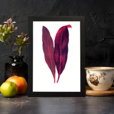 Vintage wall art featuring two red and purple leaves with a white background and black frame. displayed on the wall