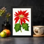 Vintage wall art of a red poinsettia flower with green leaves on a white background, framed in black. displayed on the wall in a black frame