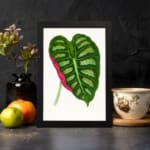 Heart-shaped tropical leaf in green with a pink stripe, set on a white background with a black frame. displayed on the wall