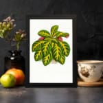 Vintage wall art of a leafy plant with green, yellow, and pinkish-red leaves on a white background, framed in black. displayed on the wall