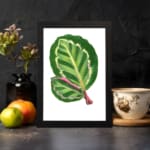 Vintage wall art of two overlapping green leaves with pinkish-red veins on a white background, framed in black. displayed on the wall