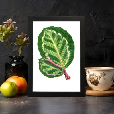Vintage wall art of two overlapping green leaves with pinkish-red veins on a white background, framed in black. displayed on the wall