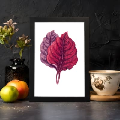 Vintage wall art featuring two overlapping leaves in red and purple on a white background with a black frame. displayed on the wall