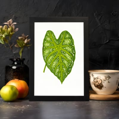 Heart-shaped green leaf with yellow-green veins on white background, framed in black – vintage botanical wall art. displayed on the wall