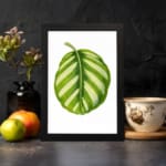 Vintage botanical wall art of a single striped green leaf with light and dark shades, set on a white background with a black frame. displayed on the wall