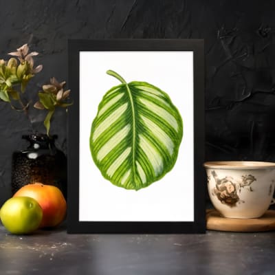 Vintage botanical wall art of a single striped green leaf with light and dark shades, set on a white background with a black frame. displayed on the wall