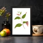 Vintage wall art featuring a leafy botanical branch with green and pink-tinted leaves on a white background, framed in black. displayed on the wall