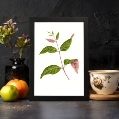 Vintage wall art featuring a leafy botanical branch with green and pink-tinted leaves on a white background, framed in black. displayed on the wall