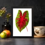 Vintage wall art showing a green leaf with bold red veins on a white background, framed in black. displayed on the wall