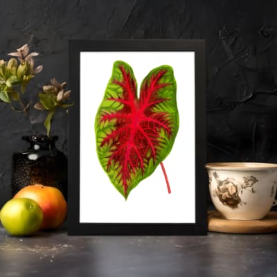 Vintage wall art showing a green leaf with bold red veins on a white background, framed in black. displayed on the wall