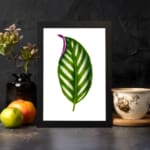 Vintage wall art featuring a green leaf with white stripes and a hint of purple on the edge, set against a white background with black frame. displayed on the wall