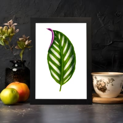 Vintage wall art featuring a green leaf with white stripes and a hint of purple on the edge, set against a white background with black frame. displayed on the wall
