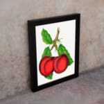 Vintage wall art featuring two red plums with green leaves on a white background. displayed on the wall