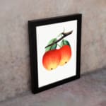 Vintage wall art of red and yellow apples with green leaves on a white background. displayed on the wall