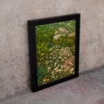 Vintage wall art of white wildflowers in a green field with stones, framed in black. displayed on the wall