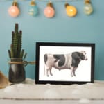 Vintage black and white cow wall art in clean, minimalist style with white background. displayed on the wall