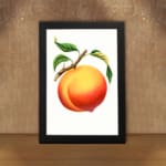 Infidu Ripe Peach Botanical Fruit Vintage Wall Art with bright orange peach and green leaves. displayed on the wall