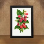 Vintage wall art of ripe red and pink raspberries with green leaves on a white background, framed in black. displayed on the wall