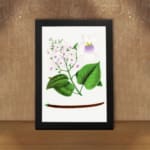 Vintage botanical wall art with soft pink and purple flowers and green leaves on a white background. displayed on the wall