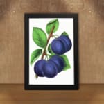 Vintage botanical art of ripe purple plums on a branch with green leaves on a white background. displayed on the wall