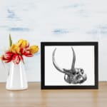 Black and white detailed vintage animal skull wall art with large curved horns on a white background. displayed on the wall