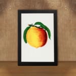 Vintage botanical wall art print of a ripe peach with green leaves on a white background. displayed on the wall