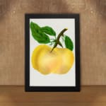 Vintage botanical wall art of a golden yellow fruit with green leaves on a white background. displayed on the wall