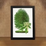 Vintage botanical wall art of a green plant with two distinct leaf types on a white background. displayed on the wall