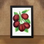 Infidu vintage wall art print of deep red plums with green leaves on a white background in classic botanical illustration style. displayed on the wall