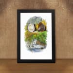 Vintage wall art showing two detailed seashells with seaweed on a white background, framed in black for a coastal nature-inspired look. displayed on the wall