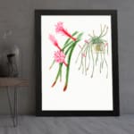 Vintage botanical wall art featuring cactus-like plants and air plants with pink flowers, framed in black for a clean, natural look. displayed on the wall