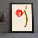 Vintage cactus flower wall art with a red bloom, pink bud, and green cactus stem on a light beige background, framed in black. displayed on the wall