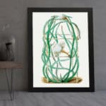 Vintage botanical wall art of a cactus with twisting green stems and a white flower, framed in black. displayed on the wall
