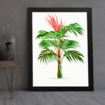 Vibrant palm plant with red growth on a clean white background, framed in black, showcasing tropical beauty and energy. displayed on the wall