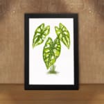Vintage wall art of a small plant with five heart-shaped green leaves and white spots, framed in black on a plain white background. displayed on the wall