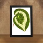 Green leaf with creamy white swirl pattern, detailed texture, on white background, framed in black – Infidu vintage botanical wall art. displayed on the wall