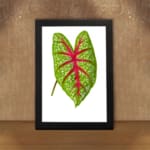 Vintage botanical art of a green leaf with red veins and white spots, framed in black on a plain white background. displayed on the wall