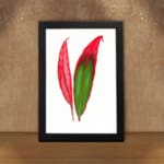 Vintage wall art of bold red and green tropical leaves in a black frame displayed on the wall