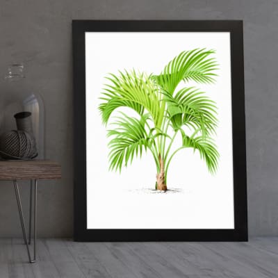 Vintage wall art featuring a green palm plant with curved leaves, framed in black, adds a fresh tropical feel to any room. displayed on the wall