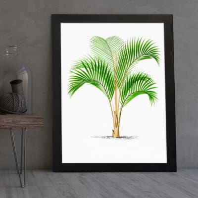 Vintage wall art of a green palm with long leaves and a split trunk framed in black. displayed on the wall
