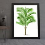 Vintage wall art of a tropical green palm plant with long leaves, set against a white background and framed in black. displayed on the wall