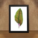 Vintage wall art of a green leaf with bright orange veins and a touch of purple at the base on a white background with a black frame. displayed on the wall
