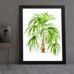 Vintage wall art of a tropical plant with long green leaves and a light brown trunk on a white background with a black frame. displayed on the wall