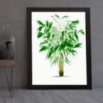 Vintage wall art of a green leafy plant with narrow leaves in varying shades of green, framed in black for a modern touch. displayed on the wall