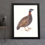 Vintage wall art of a speckled bird with brown, black, and white feathers, framed in black, ideal for nature-themed spaces. displayed on the wall
