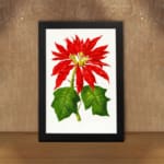 Vintage wall art of a red poinsettia flower with green leaves on a white background, framed in black. displayed on the wall in a black frame