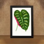 Heart-shaped tropical leaf in green with a pink stripe, set on a white background with a black frame. displayed on the wall